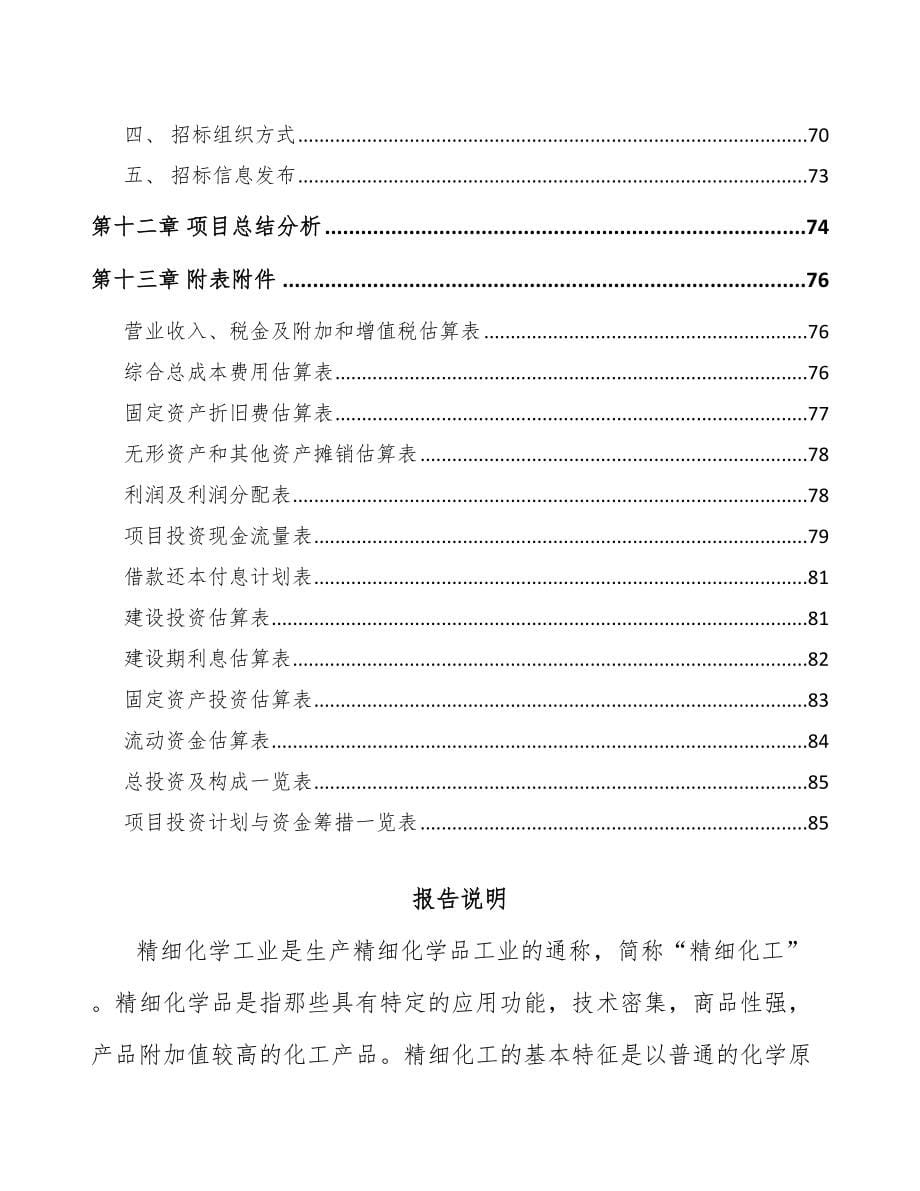 珠海染料中间体项目可行性研究报告_第5页