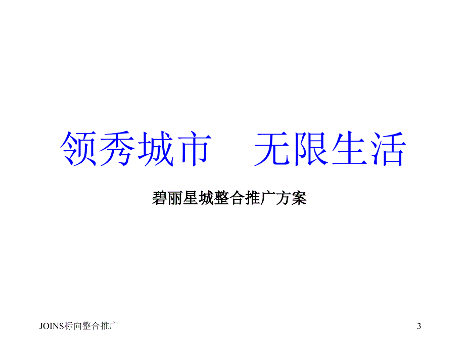 碧丽星城整合推广方案课件_第3页