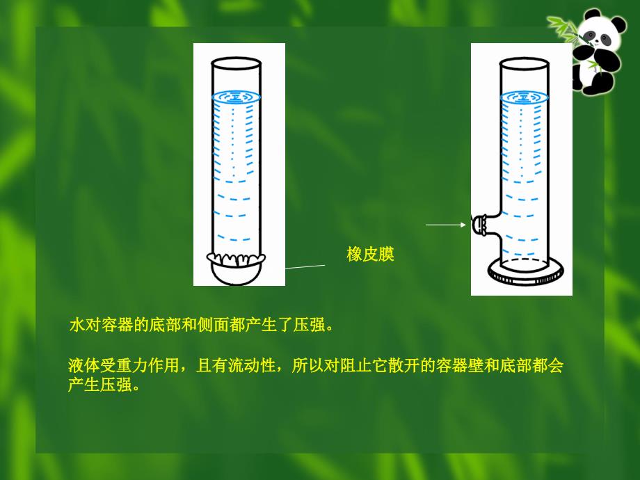 液体内部的压强_第3页