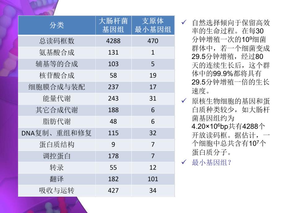 基因的表达与调控上——原核基因表达课件_第2页