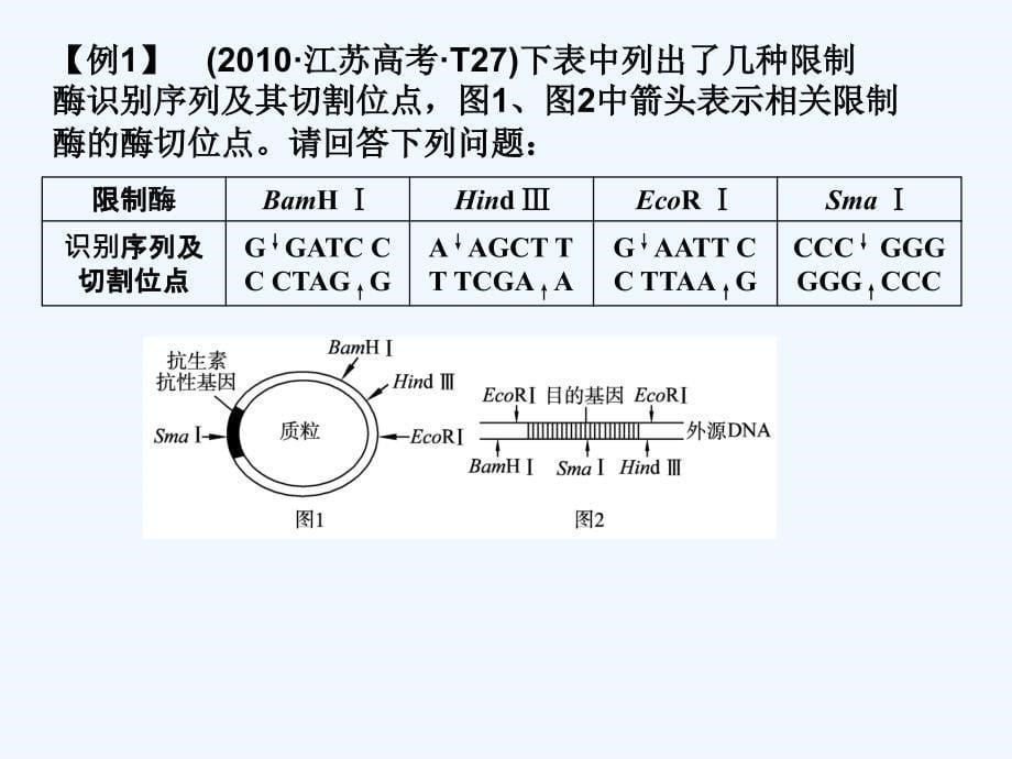 基因工程复习课件_第5页