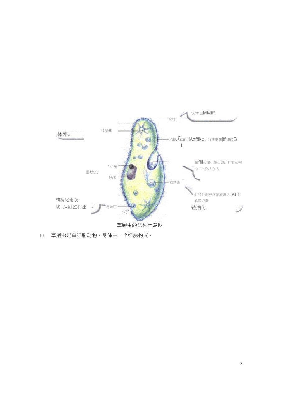 初中生物生物结构图专题复习_第5页