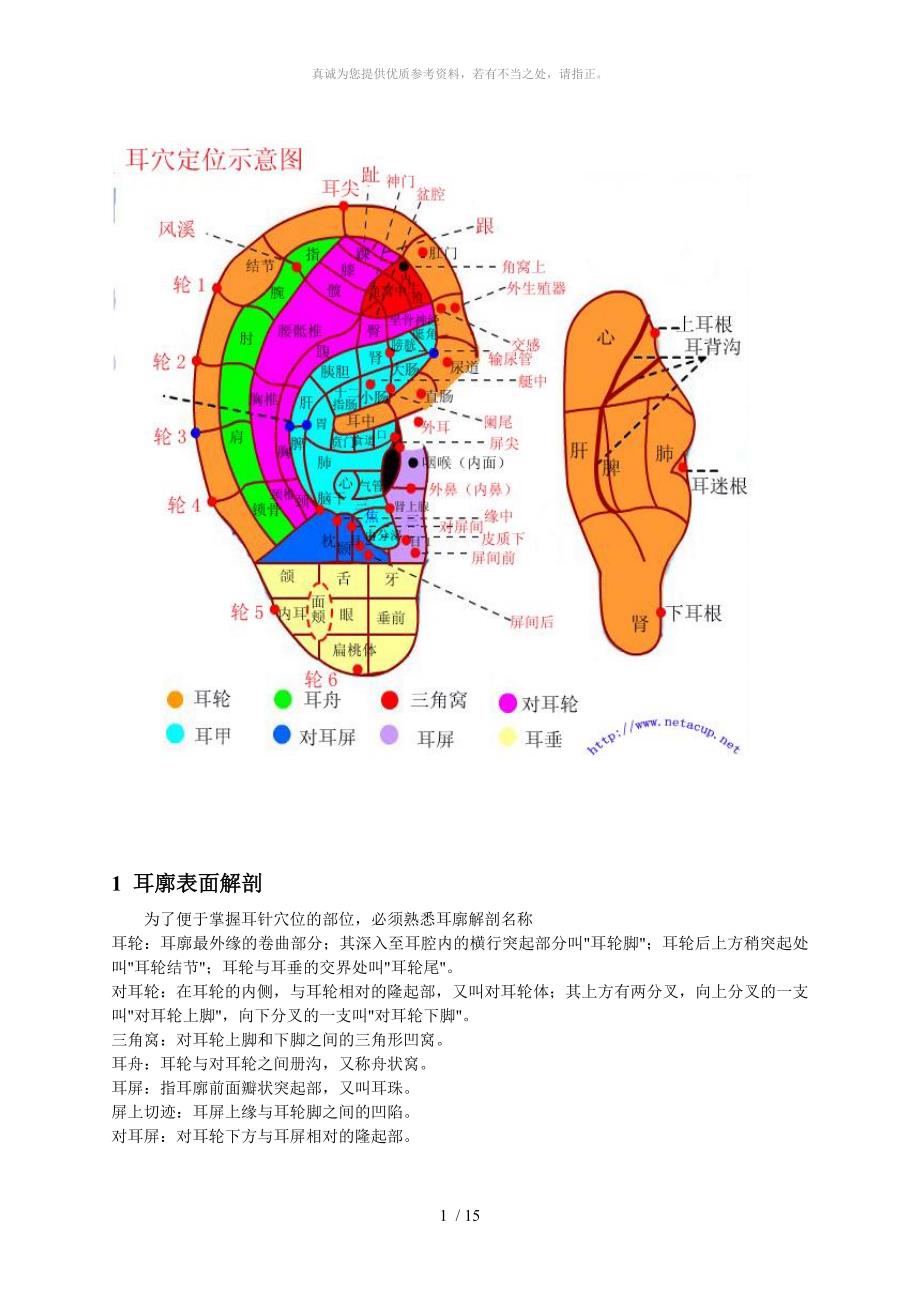 耳穴位置及主治介绍_第1页