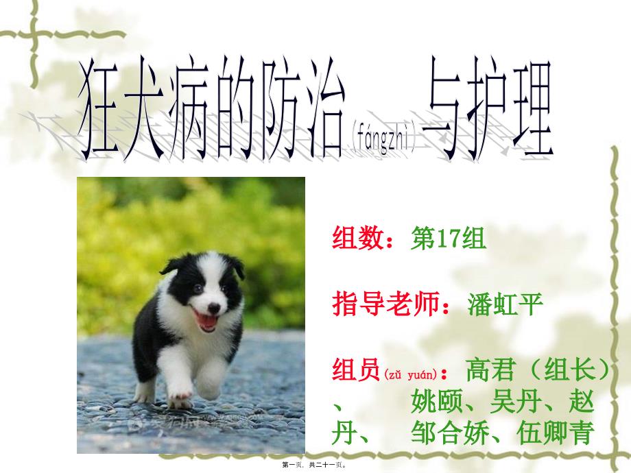 医学专题—狂犬病(2)16933_第1页