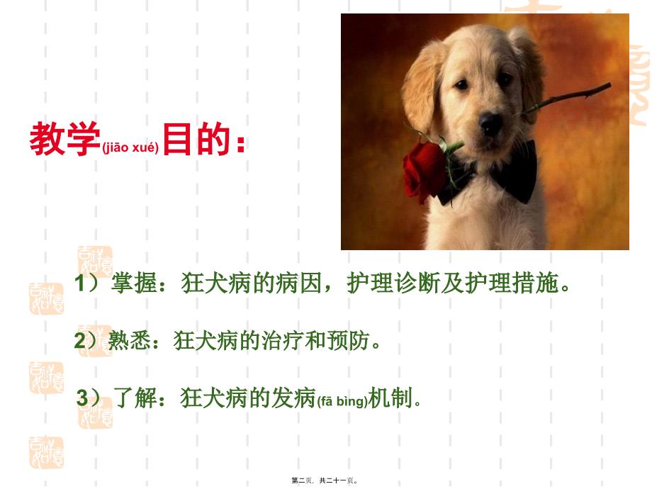 医学专题—狂犬病(2)16933_第2页