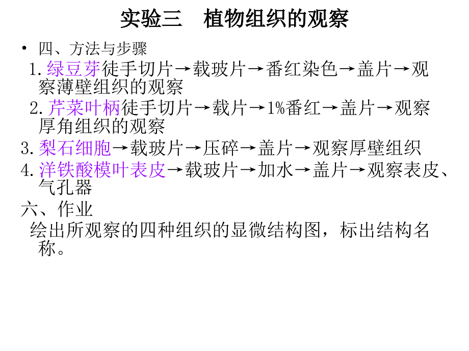 植物实验切片观察_第4页