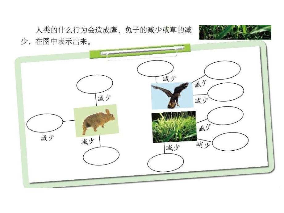 教科版科学五上维护生态平PPT课件121_第4页