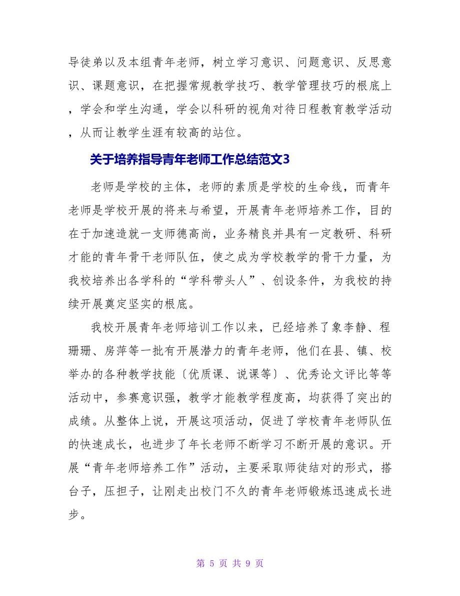 关于培养指导青年教师工作总结范文_第5页