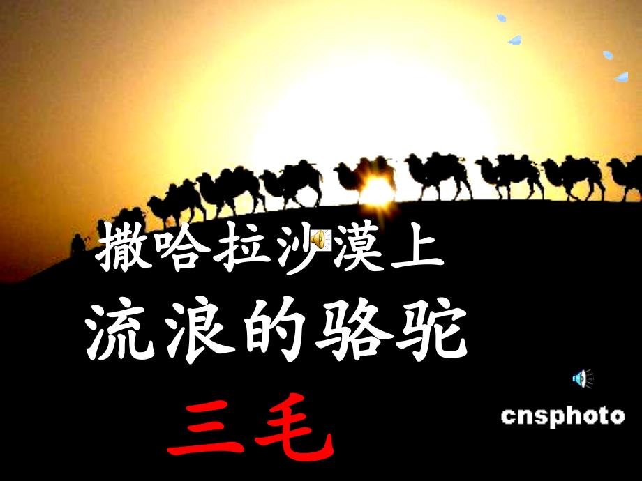 关于三毛的作文素材.ppt_第1页