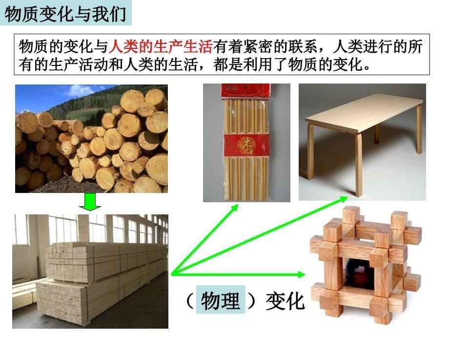 教科版六年级下册二单元8课_第5页