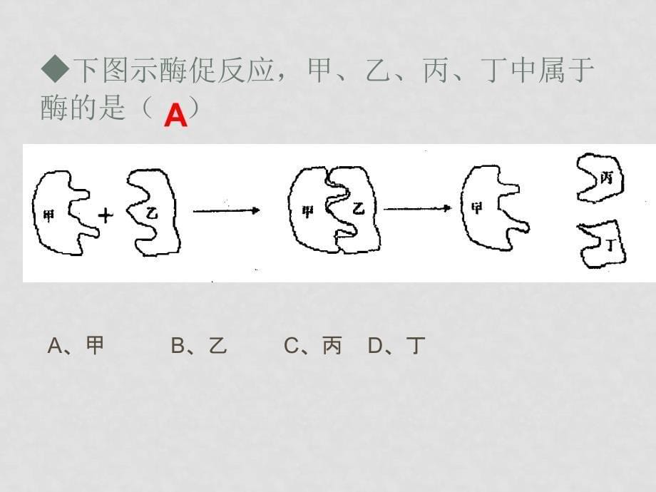 高中生物高考突破小专题课件4：酶专题人教版_第5页