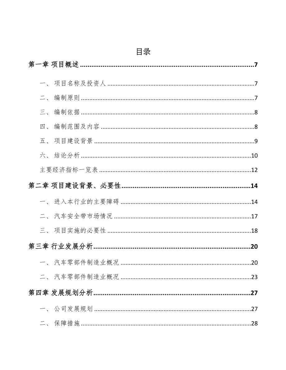 南宁汽车安全带总成项目可行性研究报告(DOC 53页)_第2页