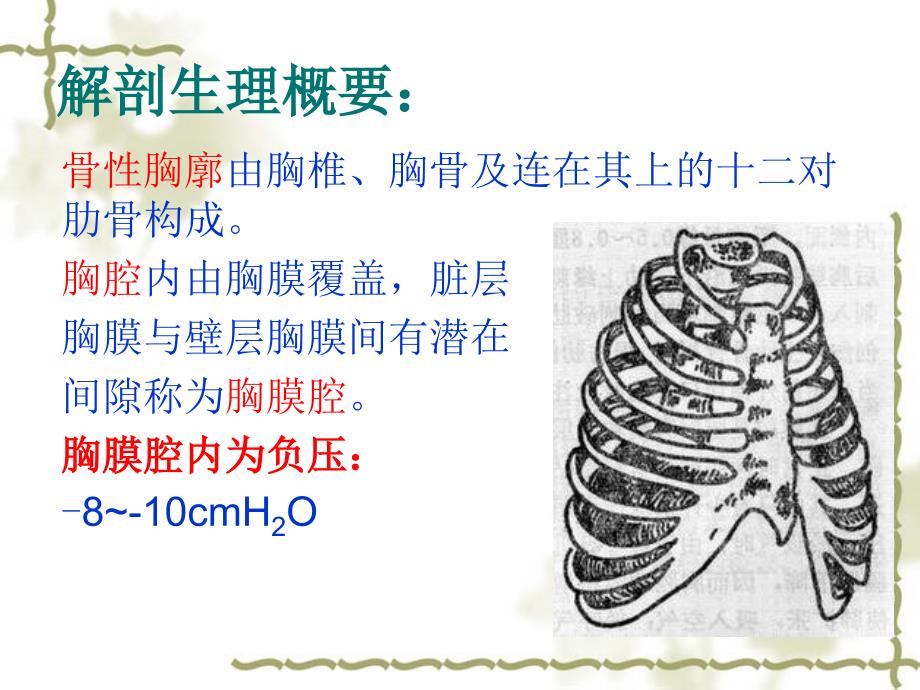 胸外科疾病患者的护理课件_第3页