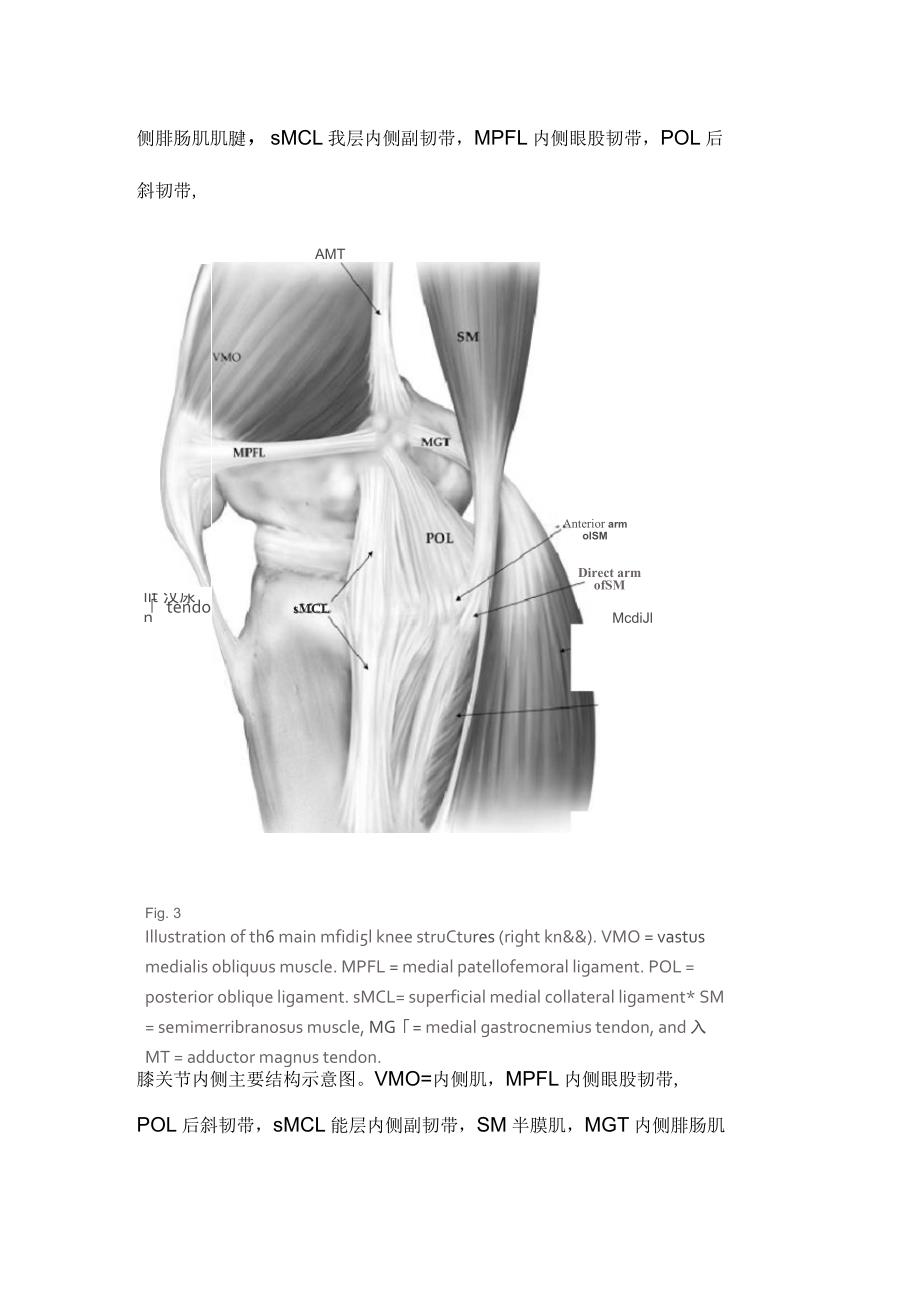膝关节内侧结构的解剖学研究_第4页