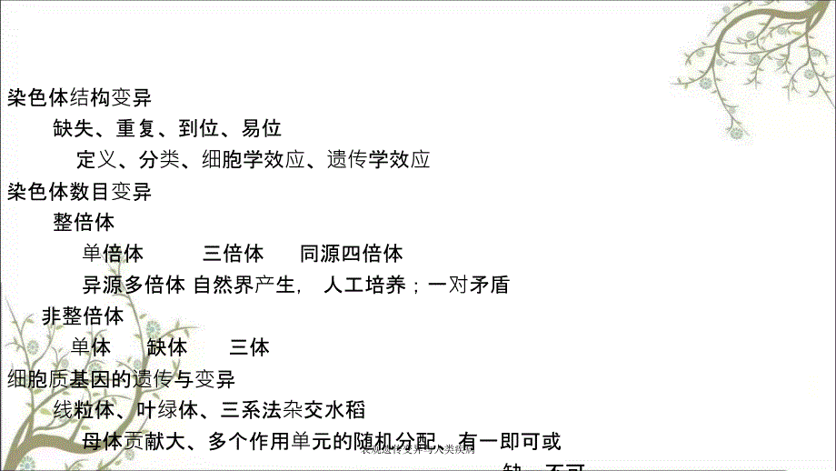 表观遗传变异与人类疾病课件_第1页