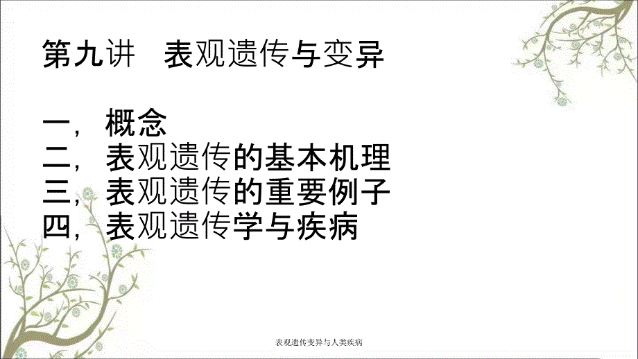 表观遗传变异与人类疾病课件_第2页