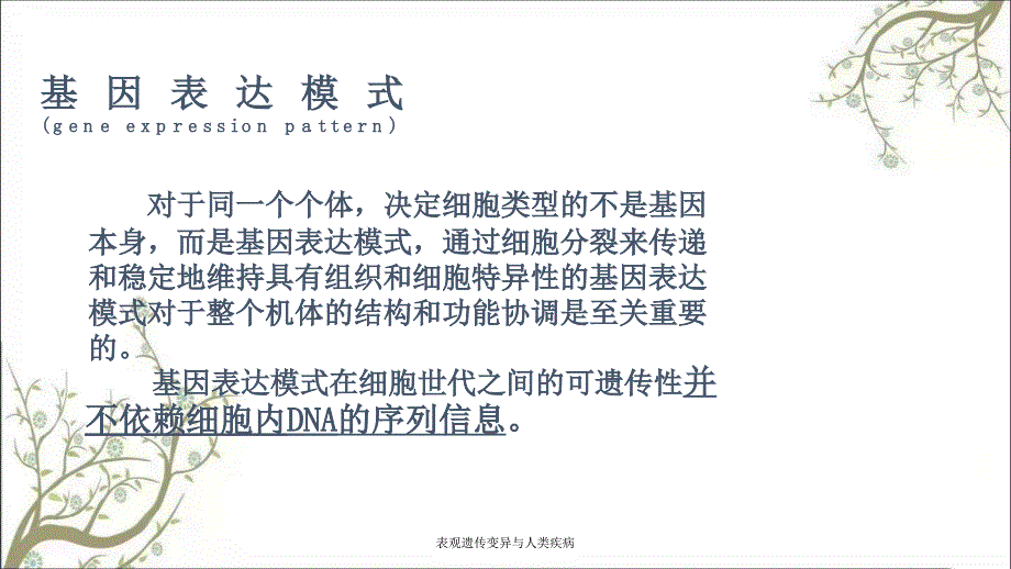 表观遗传变异与人类疾病课件_第4页