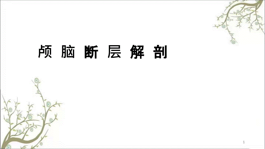 颅脑断面解剖课件_第1页