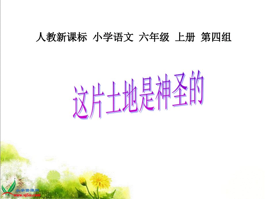 （人教新课标）六年级语文上册课件这片土地是神圣的_第1页