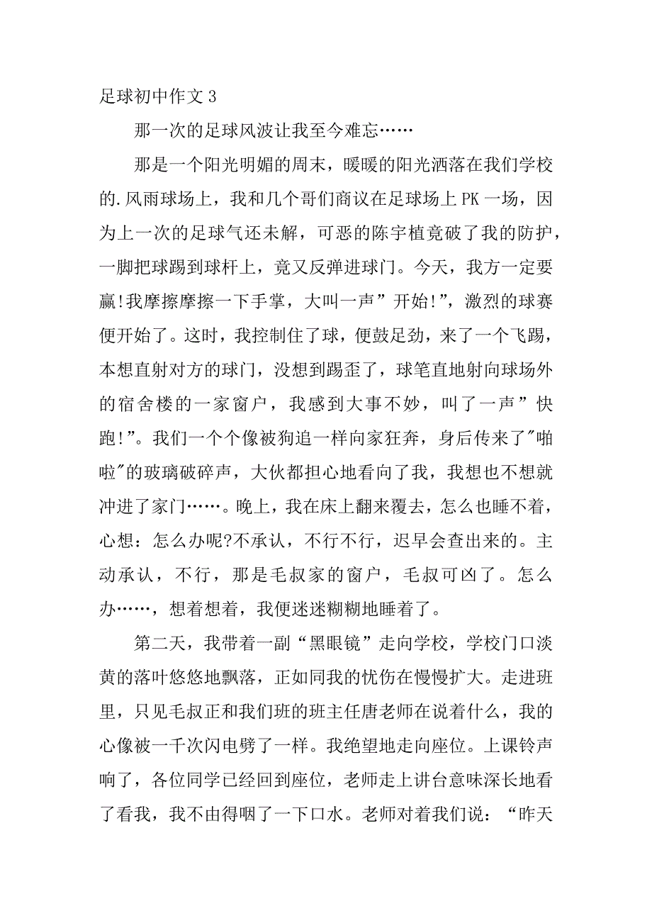 足球初中作文9篇初中关于足球的作文_第4页