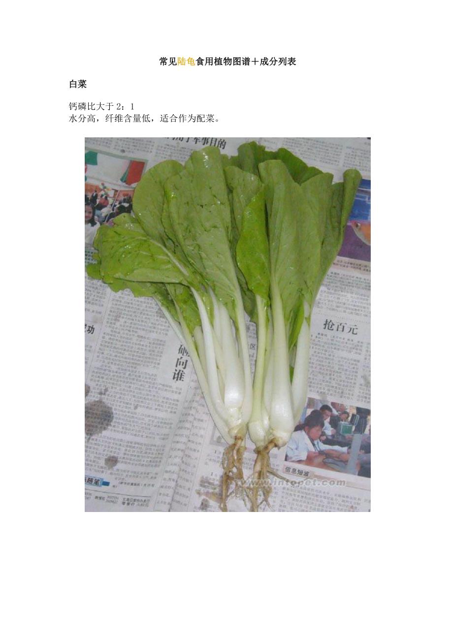 常见陆龟食用植物图谱+成分列表.doc_第1页