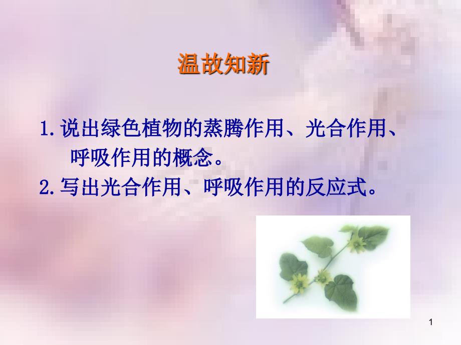 七年级生物上册2.1.5绿色植物在生物圈中的作用课件新版济南版_第1页