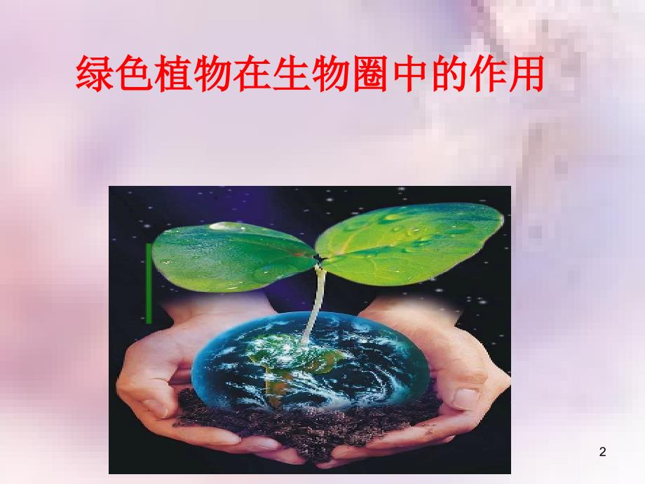 七年级生物上册2.1.5绿色植物在生物圈中的作用课件新版济南版_第2页