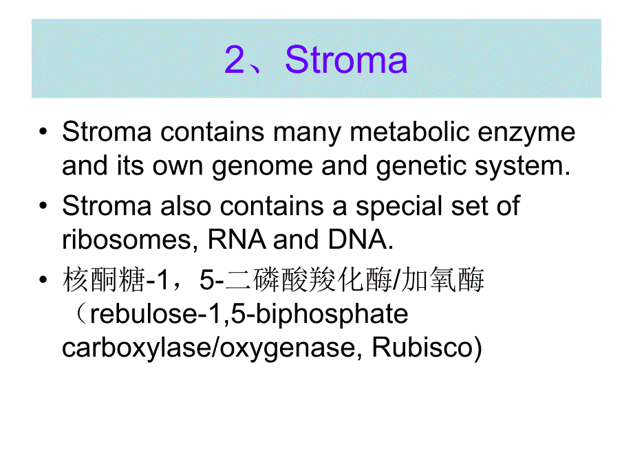 费晓方细胞生物学07chapter5iienergygenerationinmitochondriaandchloroplasts_第4页