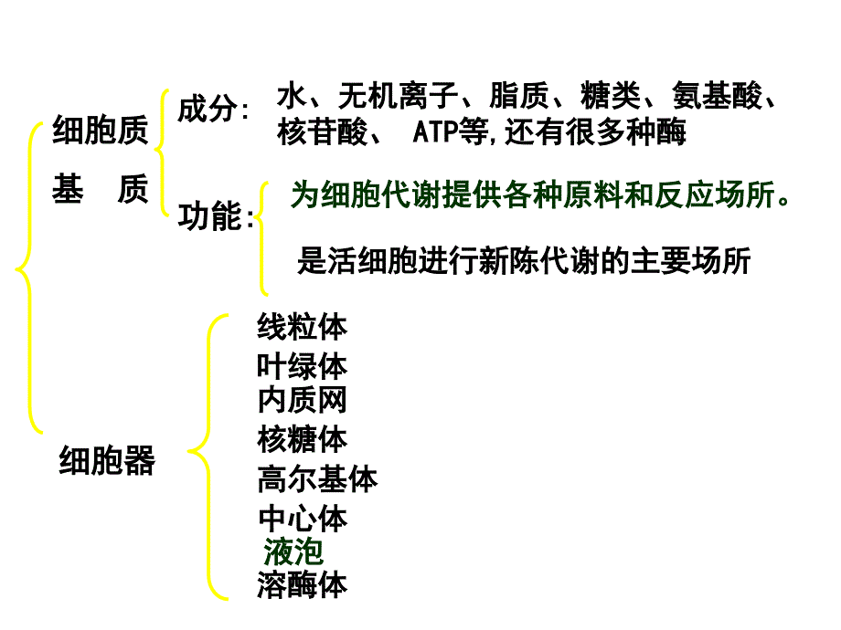 细胞器--系统内的分工与合作_第3页