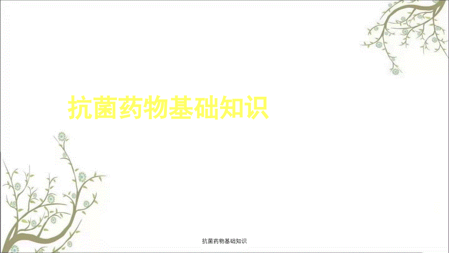 抗菌药物基础知识课件_第1页