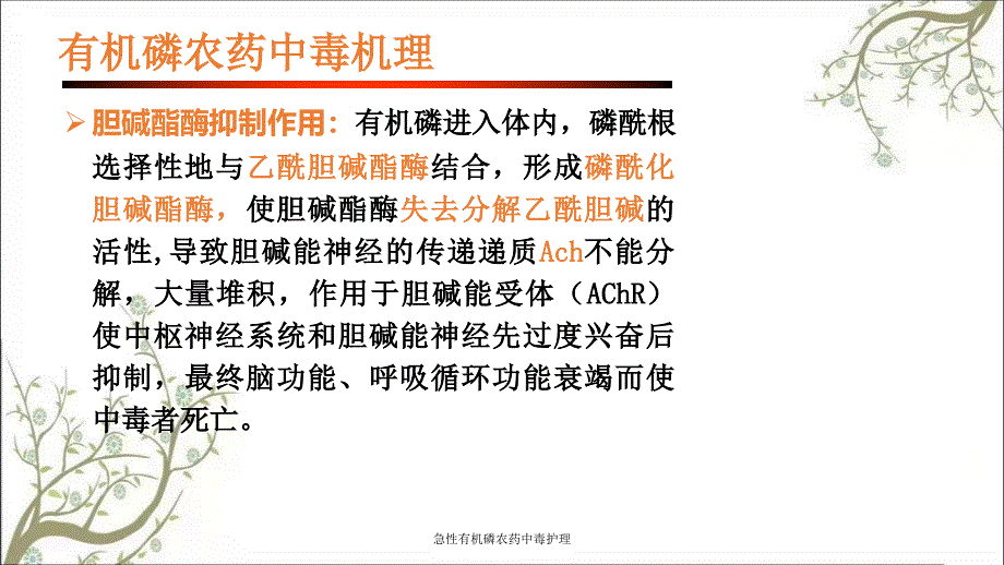 急性有机磷农药中毒护理课件_第4页