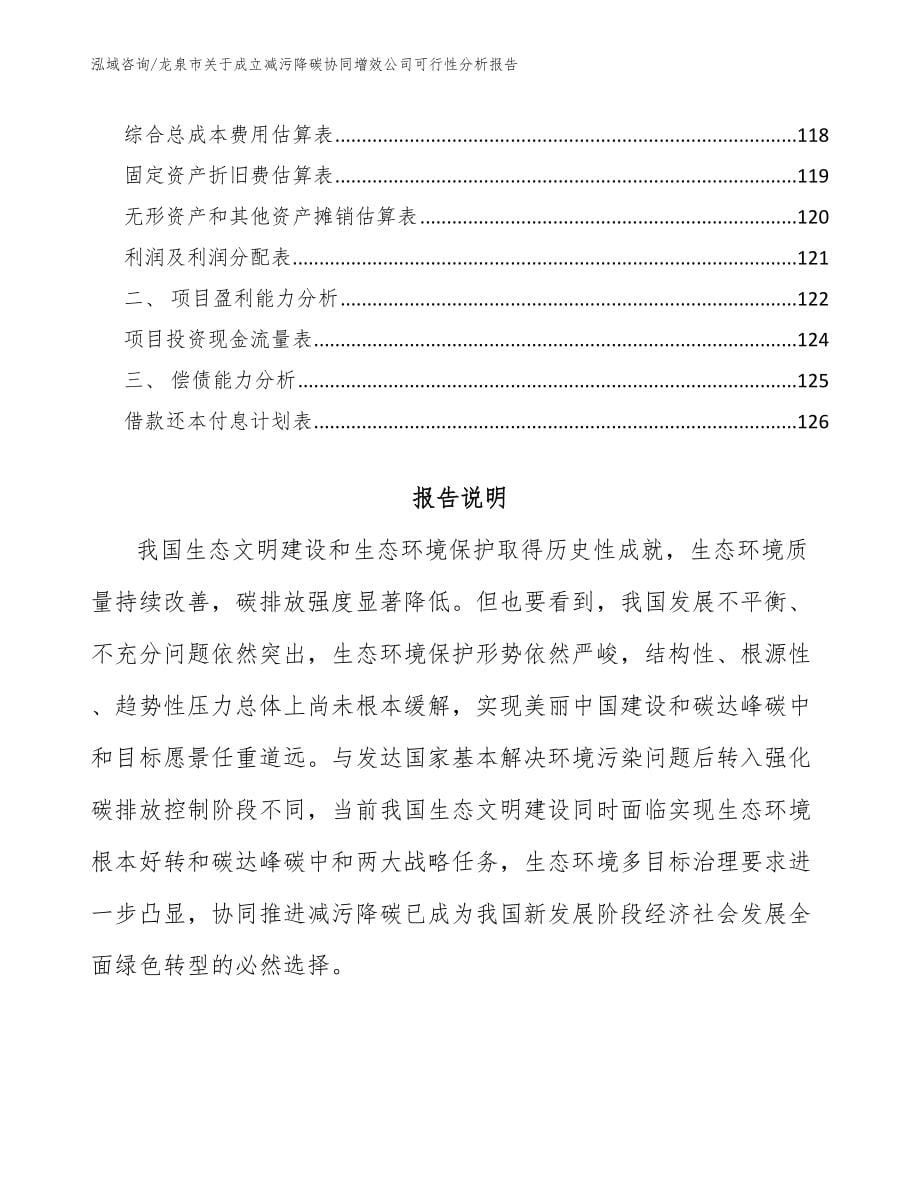 龙泉市关于成立减污降碳协同增效公司可行性分析报告_范文_第5页