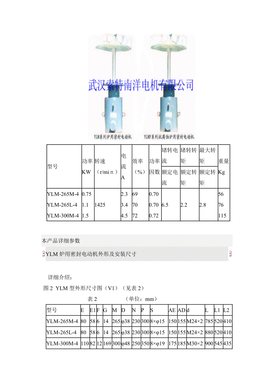 炉用水冷电机.doc_第2页