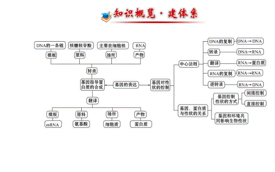 高三生物金榜频道一轮课件必修基因的表达_第2页