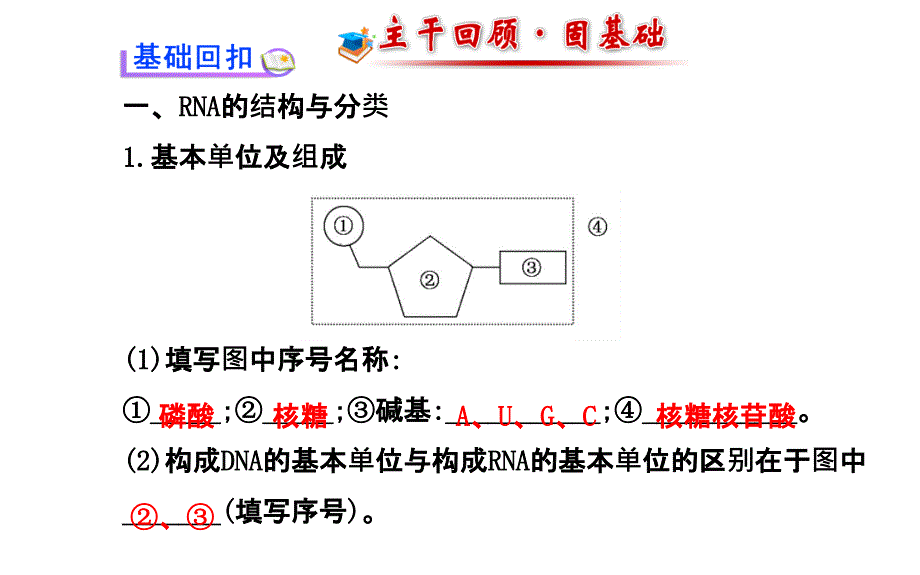 高三生物金榜频道一轮课件必修基因的表达_第3页