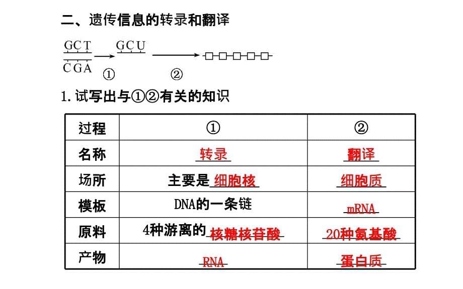 高三生物金榜频道一轮课件必修基因的表达_第5页