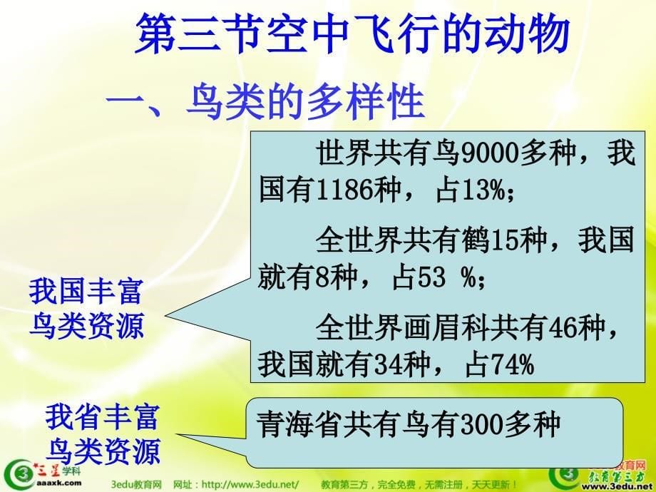 空中飞行的动物课件精品教育_第5页