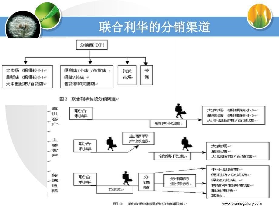 管理咨询PPT联合利华的发展战略与组织结构案例分析_第5页