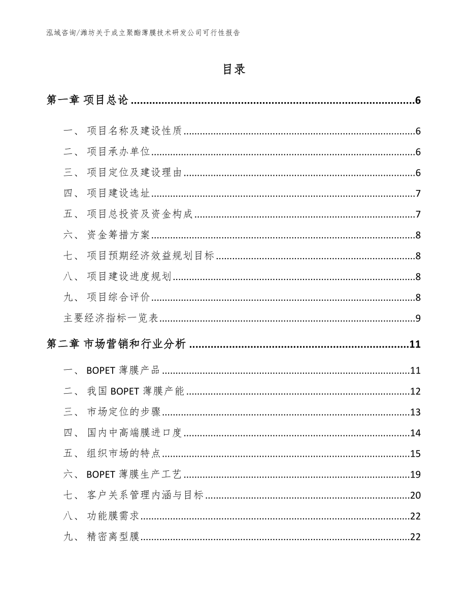 潍坊关于成立聚酯薄膜技术研发公司可行性报告_第1页