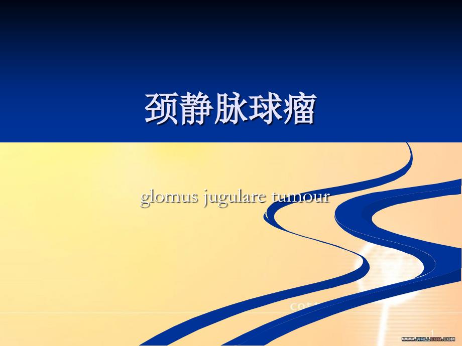 颈静脉球瘤[共55页]_第1页