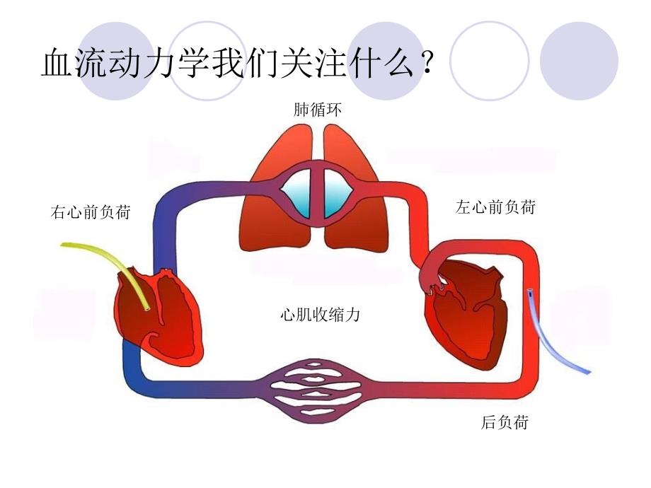 PICCO参数解读与血流动力学_第2页