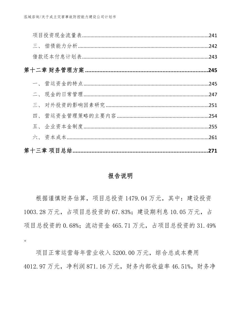 关于成立灾害事故防控能力建设公司计划书（模板范文）_第5页