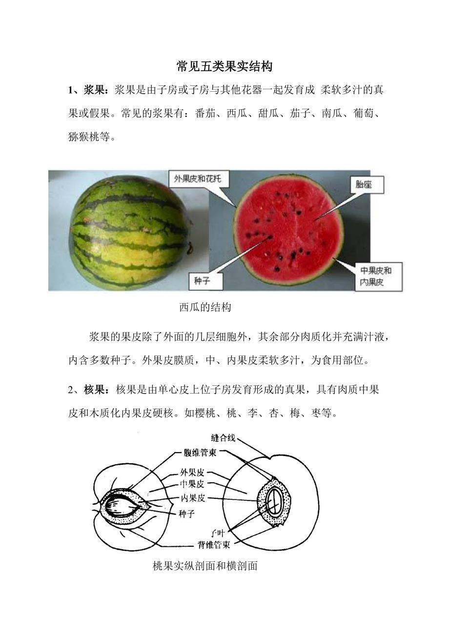 常见五类果实结构_第1页