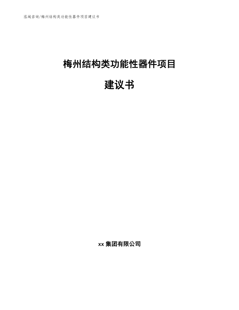 梅州结构类功能性器件项目建议书（模板）_第1页