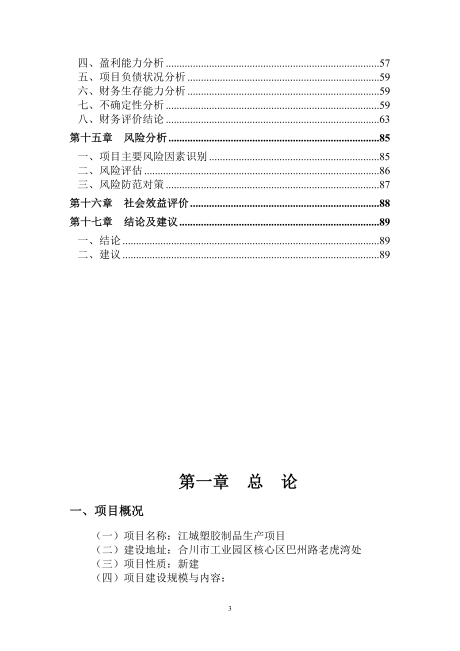 江城塑胶制品生产项目可行性研究报告_第3页