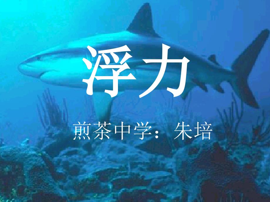 初三物理浮力复习PPT课件_第1页