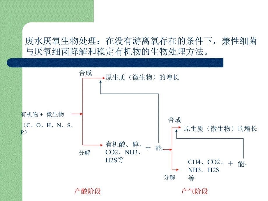 【环境课件】第十一章 废水生物处理的基本概念和生化反应动力学基础_第5页