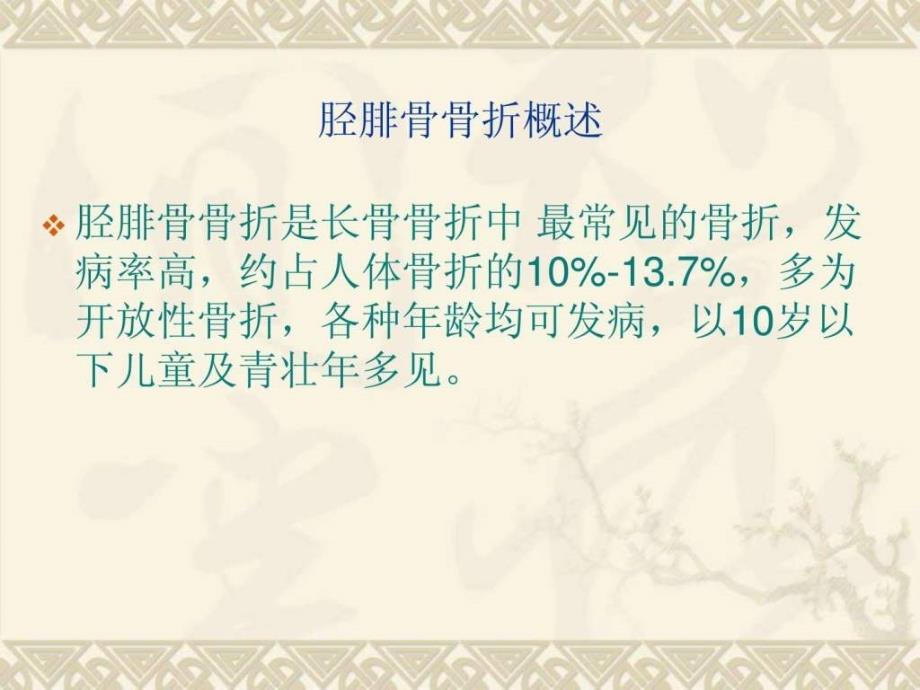 胫腓骨骨折护理.ppt_第2页