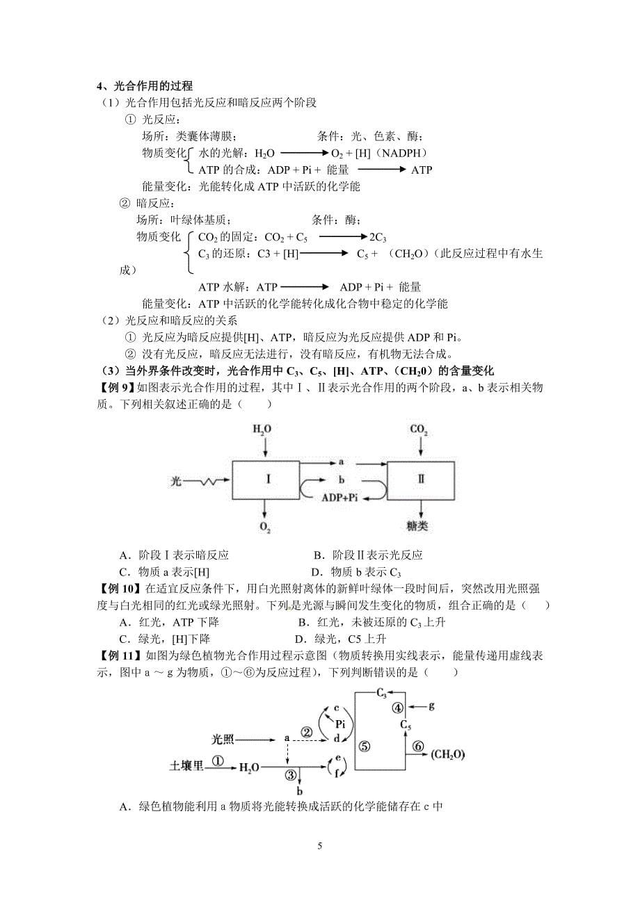 《光合作用》知识梳理+典型例题_第5页