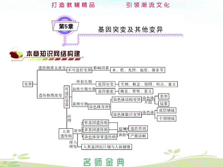 基因突变和基因重组ppt课件_第2页